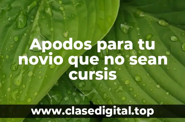 ¿Por qué los apodos son importantes en una relación?