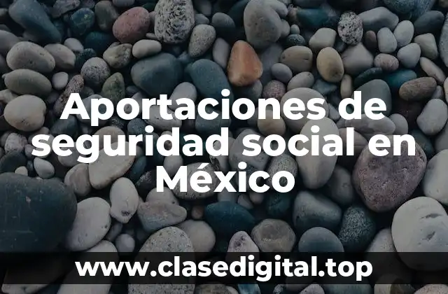 Ejemplos de aportaciones de seguridad social en México