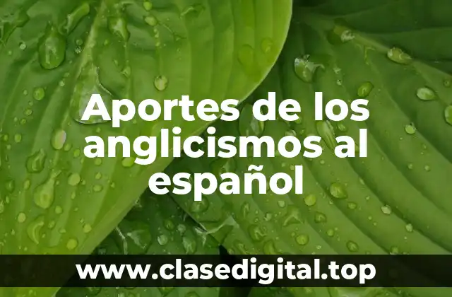 Aportes de los anglicismos al español