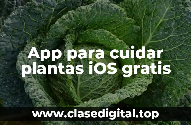 ¿Cuáles son las características clave que debes buscar en una app para cuidar plantas?