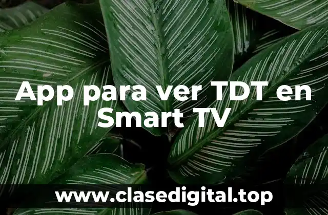 App para ver TDT en Smart TV