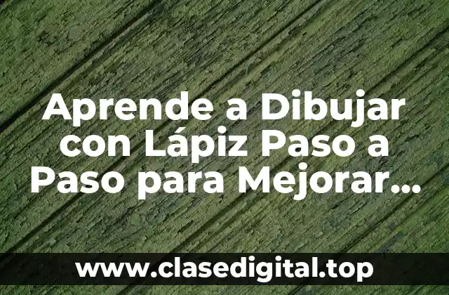 Aprende a Dibujar con Lápiz Paso a Paso para Mejorar tus Habilidades Artísticas