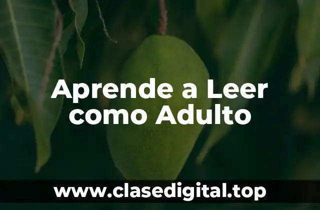 Aprende a Leer como Adulto