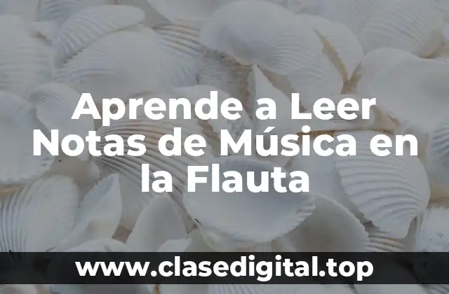 ¿Qué Son las Notas de Música en la Flauta?