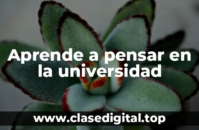 Aprende a pensar en la universidad