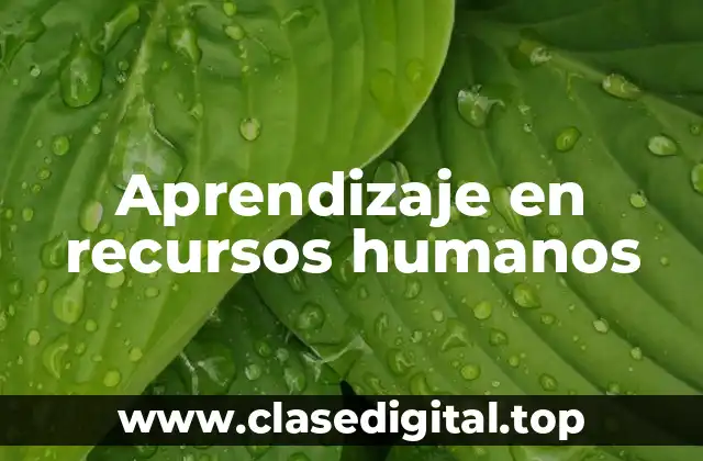 Aprendizaje en recursos humanos