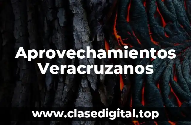 Ejemplos de Aprovechamientos Veracruzanos