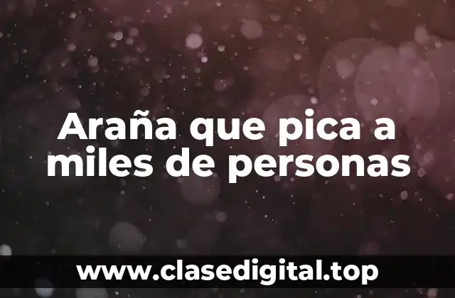 Araña que pica a miles de personas