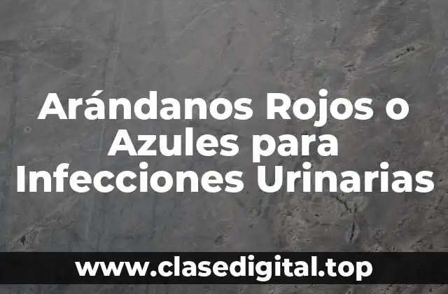 ¿Qué son los Arándanos Rojos o Azules?