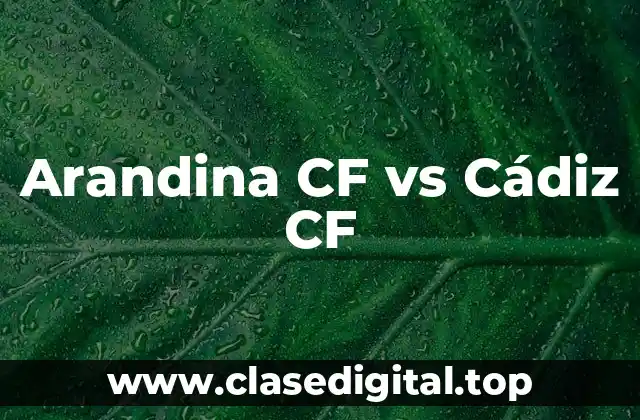 Arandina CF vs Cádiz CF