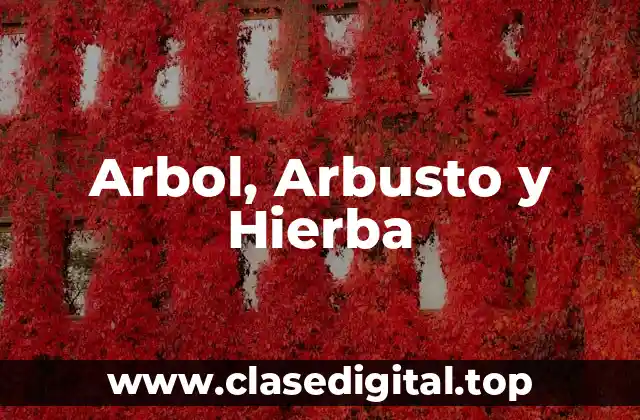 Arbol, Arbusto y Hierba