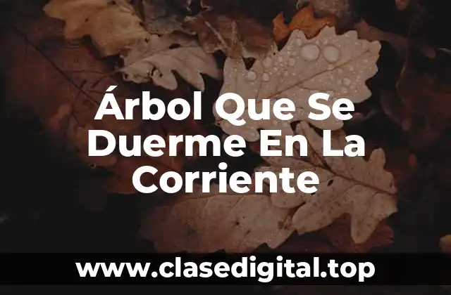 Árbol Que Se Duerme En La Corriente