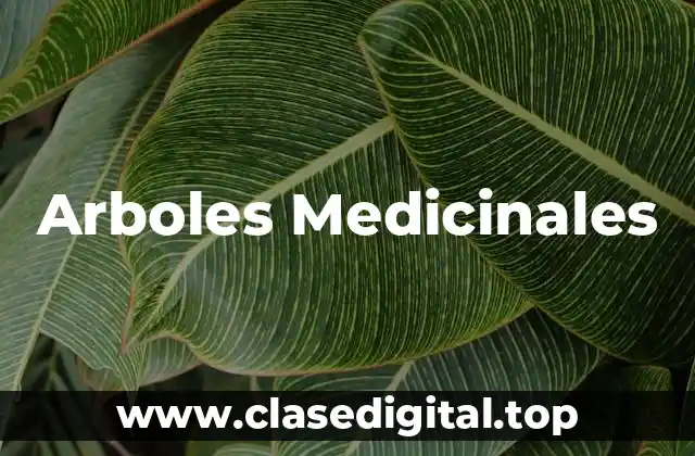 Arboles Medicinales