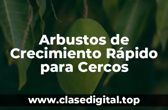 Arbustos de Crecimiento Rápido para Cercos