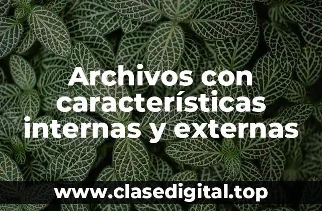 Archivos con características internas y externas