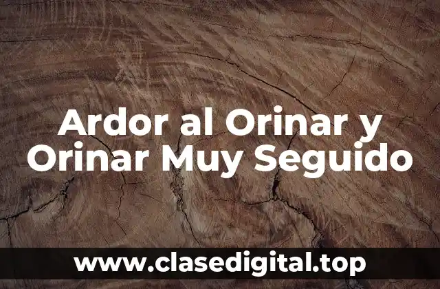 Ardor al Orinar y Orinar Muy Seguido