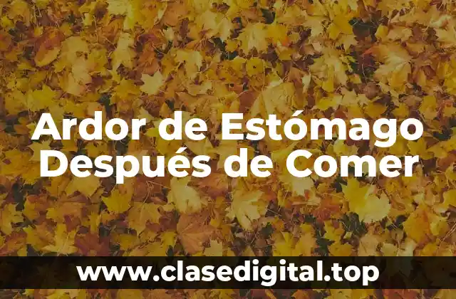Ardor de Estómago Después de Comer