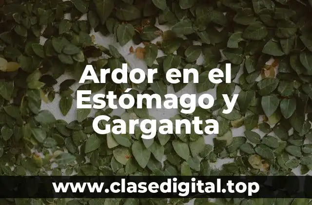 Ardor en el Estómago y Garganta