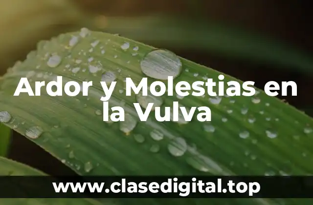 Ardor y Molestias en la Vulva