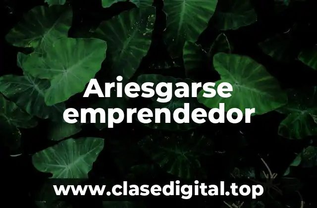 Ariesgarse emprendedor