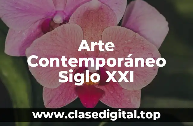 Arte Contemporáneo Siglo XXI