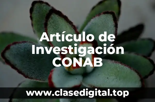 Artículo de Investigación CONAB