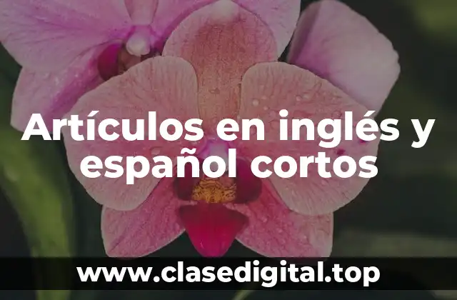 Artículos en inglés y español cortos