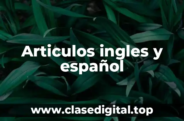 Articulos ingles y español