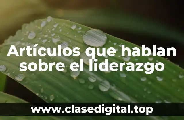 Ejemplos de liderazgo