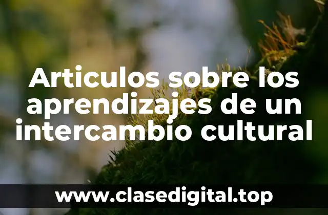 Ejemplos de aprendizajes de un intercambio cultural