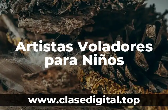 Ejemplos de artefactos voladores para niños