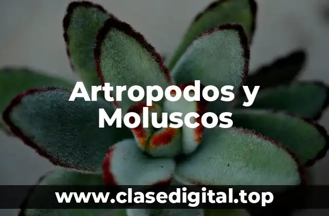 Artropodos y Moluscos