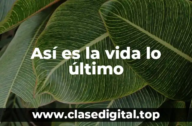 Así es la vida lo último