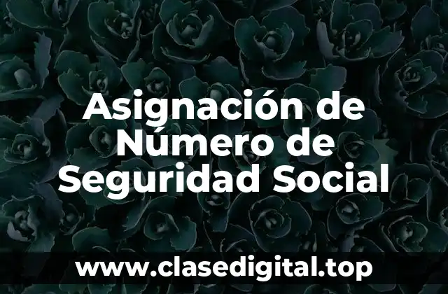 Asignación de Número de Seguridad Social