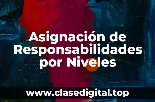Asignación de Responsabilidades por Niveles
