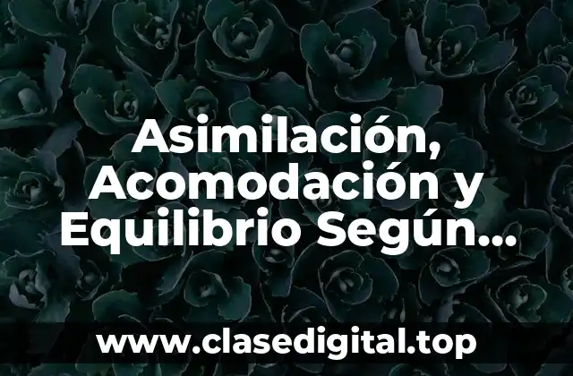 Asimilación, Acomodación y Equilibrio Según Piaget
