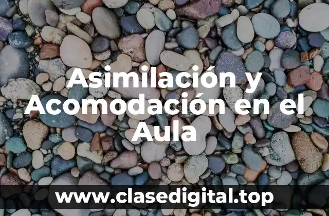 Ejemplos de Asimilación y Acomodación