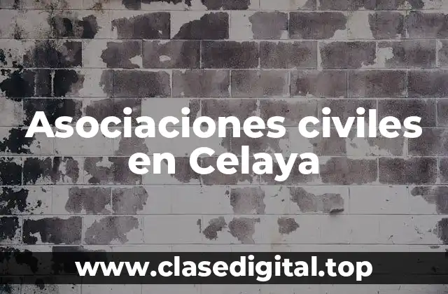 Asociaciones civiles en Celaya