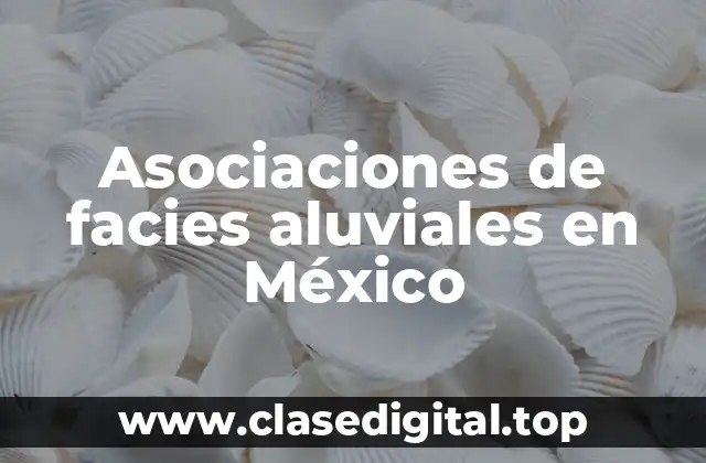 Asociaciones de facies aluviales en México