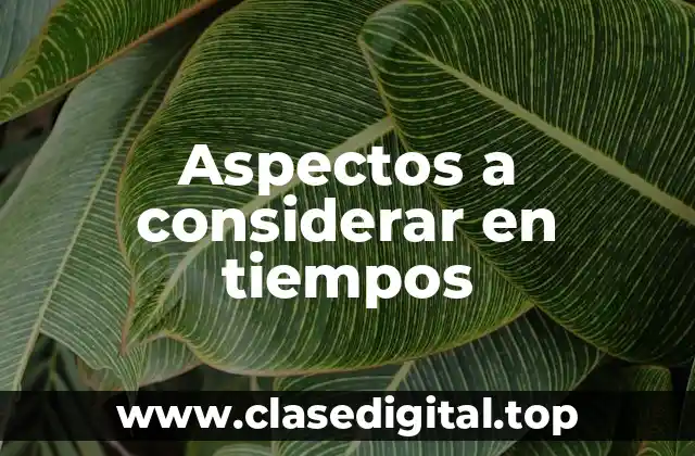 Ejemplos de aspectos a considerar en tiempos