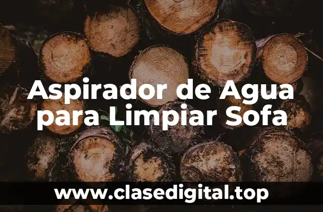 Aspirador de Agua para Limpiar Sofa