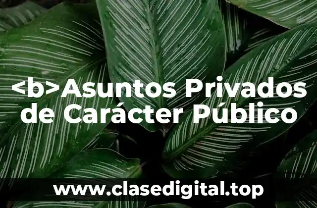 <b>Asuntos Privados de Carácter Público
