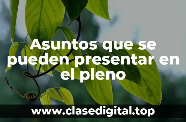 Asuntos que se pueden presentar en el pleno