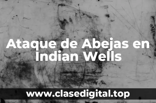 ¿Qué son los ataques de abejas y por qué ocurren?