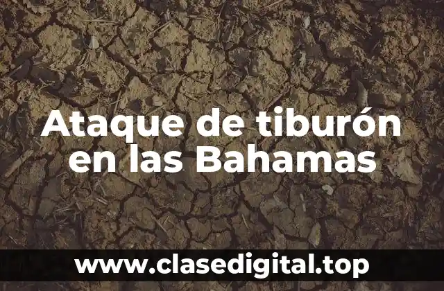 Ataque de tiburón en las Bahamas