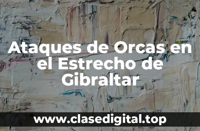 Ataques de Orcas en el Estrecho de Gibraltar