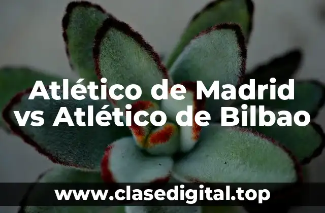 Atlético de Madrid vs Atlético de Bilbao