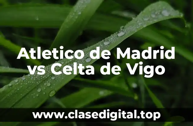 Atletico de Madrid vs Celta de Vigo
