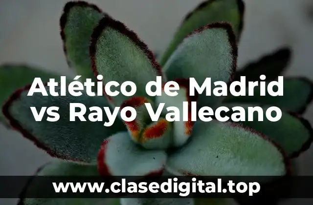 Atlético de Madrid vs Rayo Vallecano