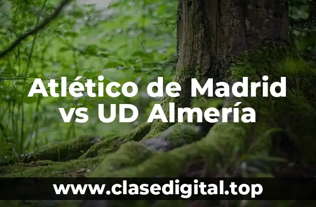 Atlético de Madrid vs UD Almería